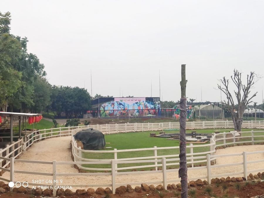 戶(hù)外萌寵樂(lè)園.jpg