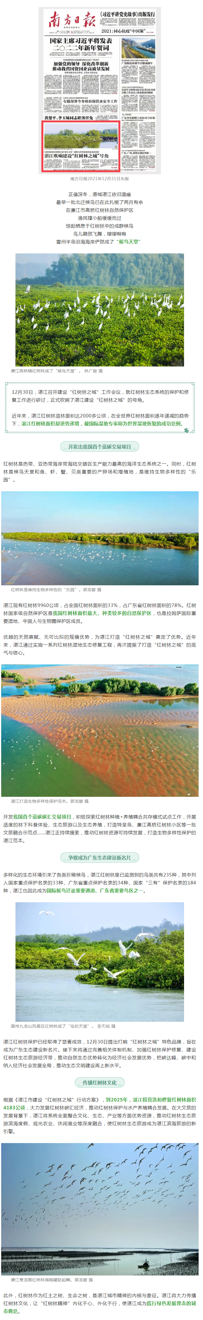 世界濕地恢復(fù)成功范例&hellip;&hellip;南方日報(bào)頭版重磅聚焦湛江！.png