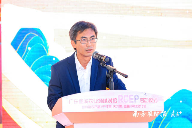 遂溪縣委副書記、縣長陳升 南方農(nóng)村報 吳秒衡 拍攝