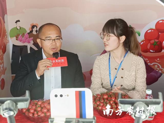 遂溪縣界炮鎮(zhèn)黨委副書記、鎮(zhèn)長岑志東在遂溪千禧果直播秀中介紹遂溪千禧果  南方農(nóng)村報 林健民 拍攝