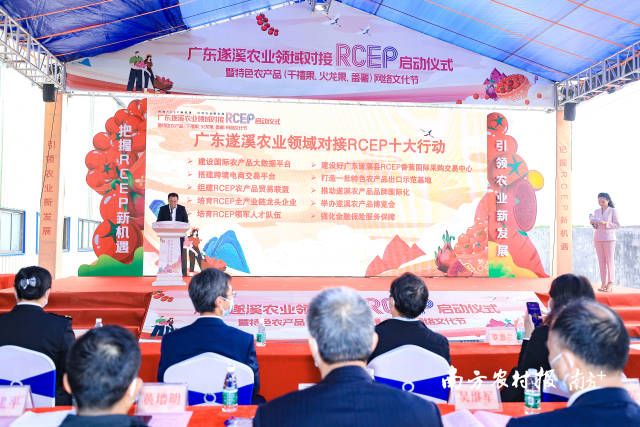 廣東遂溪農(nóng)業(yè)領域?qū)覴CEP十大行動  南方農(nóng)村報 吳秒衡 拍攝