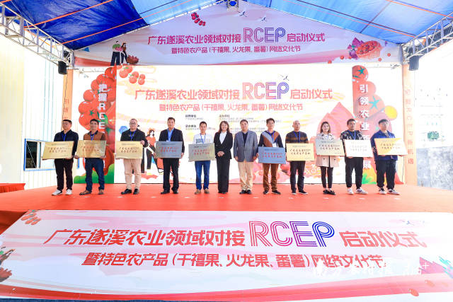 10個千禧果、番薯、火龍果、香蕉種植基地被授予“RECP生產(chǎn)基地”  南方農(nóng)村報 吳秒衡 拍攝