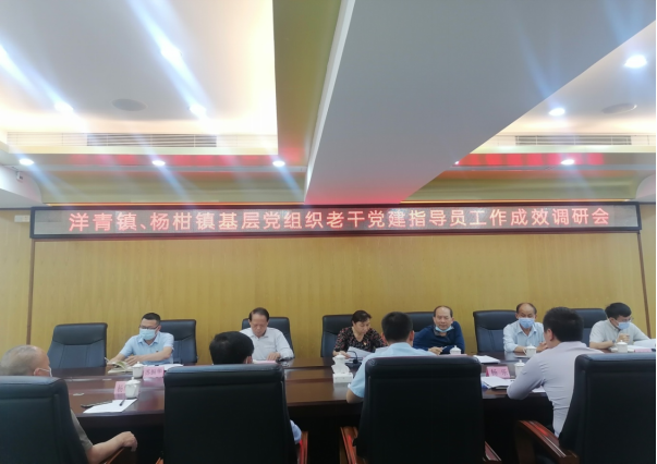 洋青鎮(zhèn)、楊柑鎮(zhèn)基層黨建老干指導(dǎo)員工作成效調(diào)研會(huì)新聞稿(1)42.png