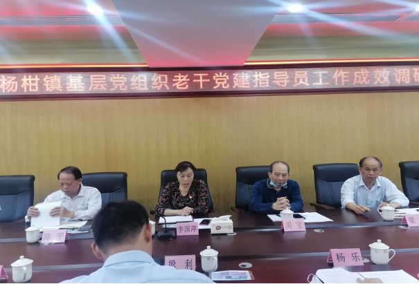 洋青鎮(zhèn)、楊柑鎮(zhèn)基層黨建老干指導(dǎo)員工作成效調(diào)研會(huì)新聞稿(1)736.png
