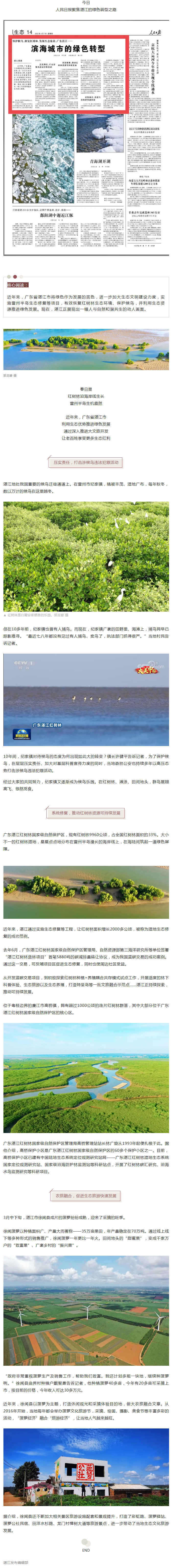 人民日報頭條聚焦湛江：濱海城市的綠色轉(zhuǎn)型！.png