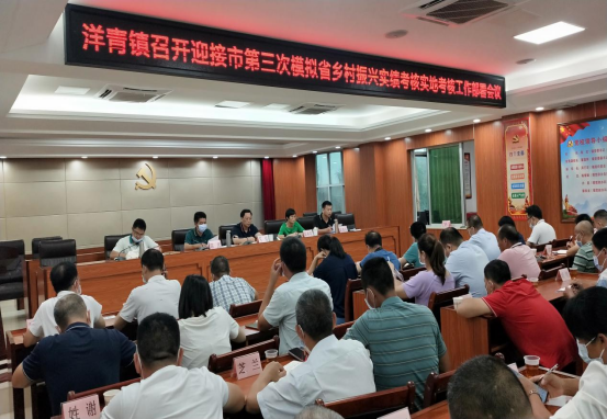 洋青：提升基層“三度”水平 、力促鄉(xiāng)村振興879.png