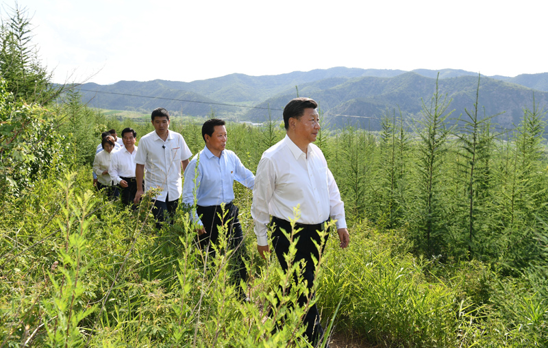 7月15日至16日，中共中央總書記、國家主席、中央軍委主席習近平在內蒙古考察并指導開展“不忘初心、牢記使命”主題教育。這是15日下午，習近平在赤峰市喀喇沁旗馬鞍山林場林區(qū)，沿著崎嶇的護林小道察看林木長勢。