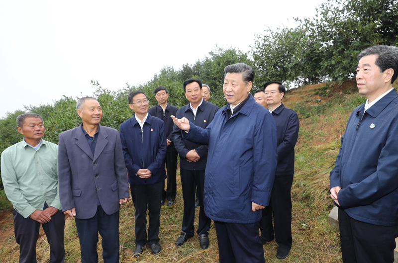 　　9月16日至18日，中共中央總書記、國家主席、中央軍委主席習(xí)近平在河南考察。這是17日上午，習(xí)近平來到信陽市光山縣槐店鄉(xiāng)司馬光油茶園，同正在勞作的村民和管理人員交流。 新華社記者 鞠鵬 攝