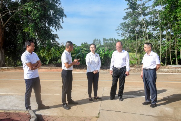湛江市人大常委會黨組副書記、副主任陳云率隊到遂溪縣建新鎮(zhèn)車路頭村開展典型村創(chuàng)建調(diào)研工作