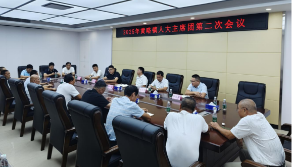 黃略鎮(zhèn)人大主席團(tuán)第二次會(huì)議召開