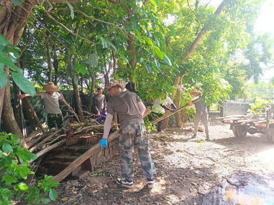 江洪鎮(zhèn)開展基孔肯雅熱疫情防控環(huán)境整治行動