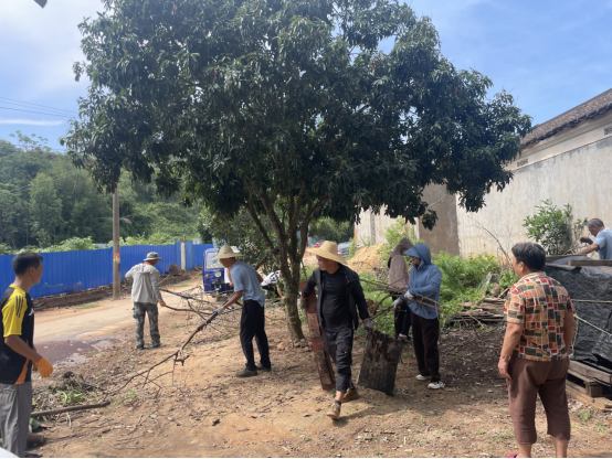 江洪鎮(zhèn)以萬村清潔行動為抓手筑牢鄉(xiāng)村衛(wèi)生防線工作