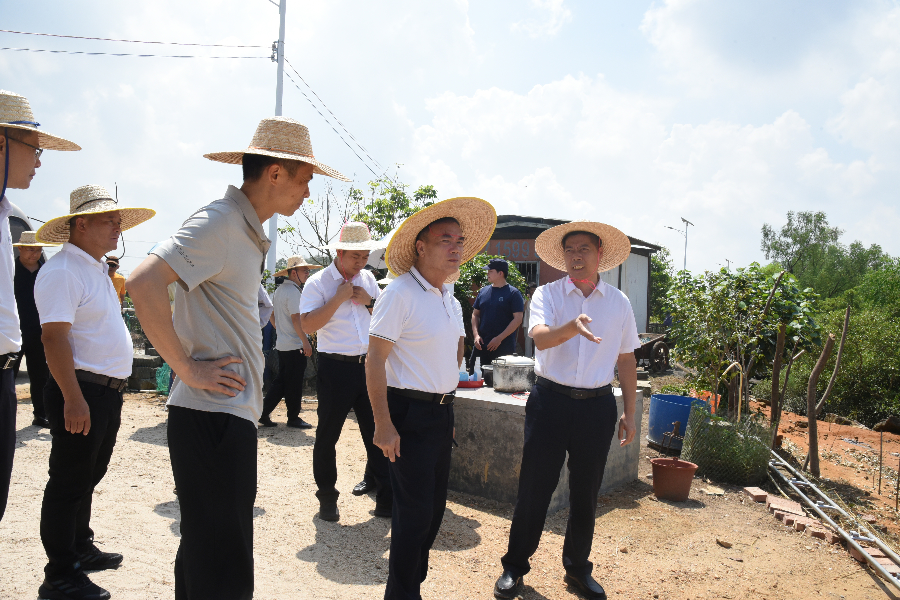 市人大常委會到遂溪開展岸線保護與利用方面法律法規(guī)貫徹實施情況執(zhí)法檢查