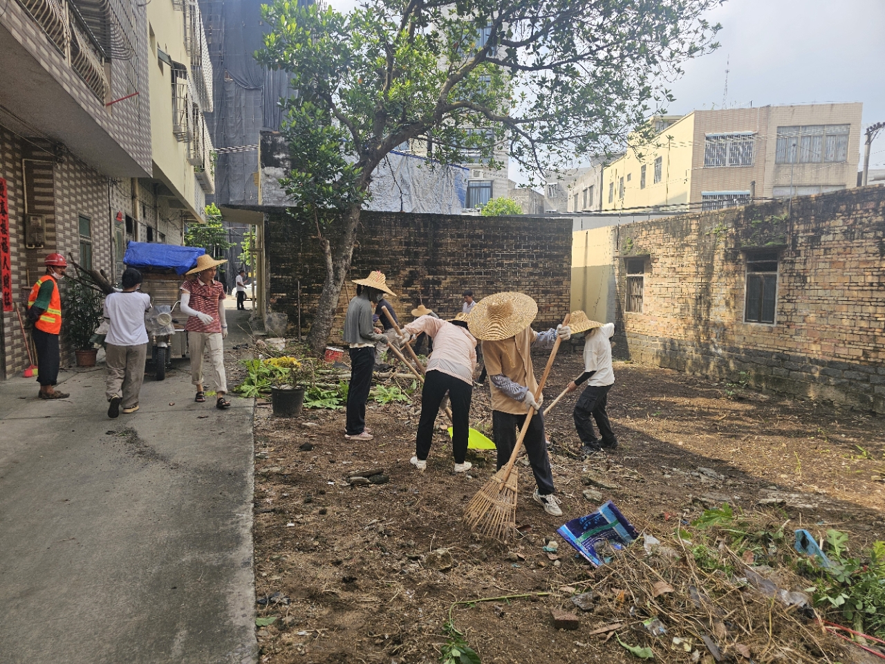 洋青鎮(zhèn)人大:人大代表積極參與愛國衛(wèi)生運動 全力筑牢蚊媒傳染病防控屏障