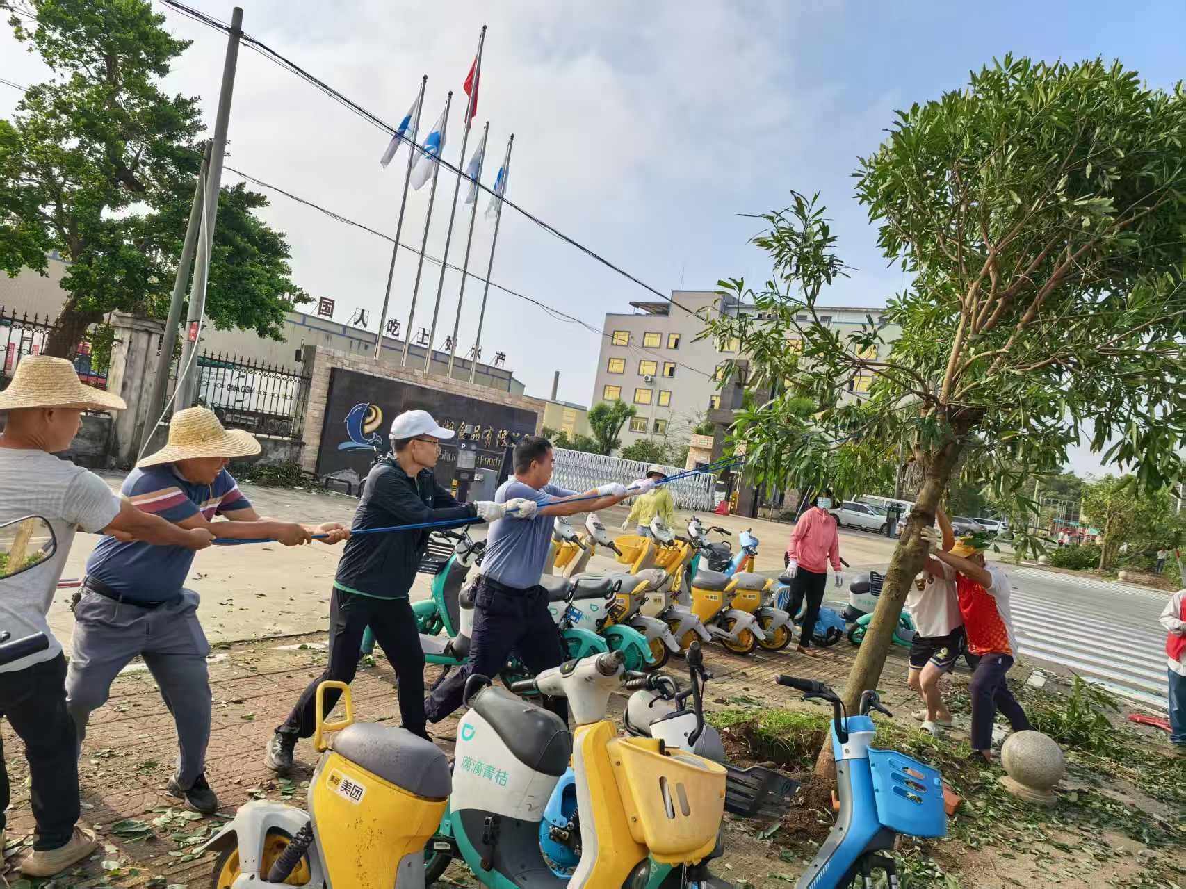 迅速響應(yīng) 晝夜突擊——遂城街道高效完成臺(tái)風(fēng)災(zāi)后清障恢復(fù)任務(wù)