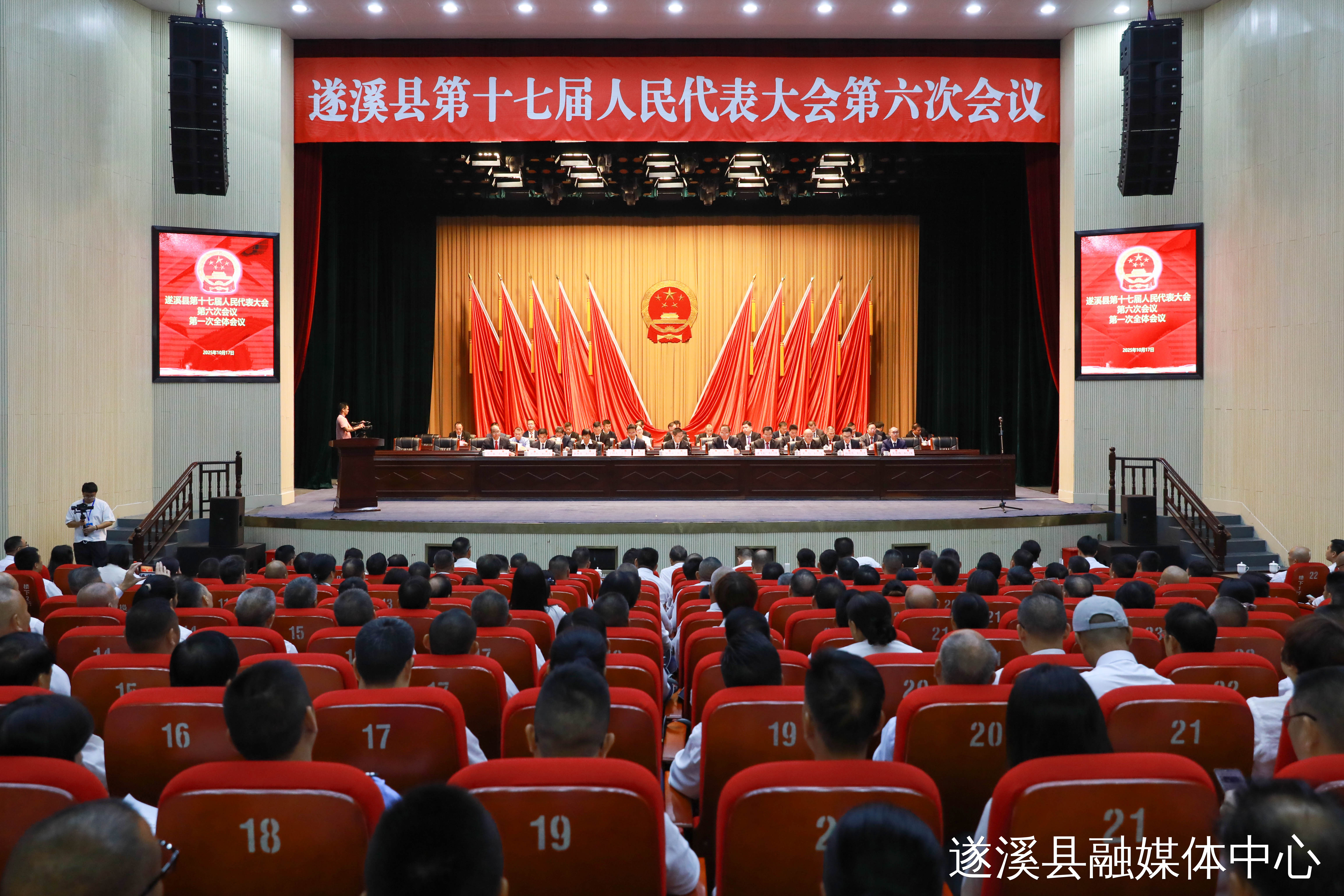 遂溪縣第十七屆人民代表大會(huì)第六次會(huì)議勝利召開 張洋當(dāng)選遂溪縣人民政府縣長(zhǎng)