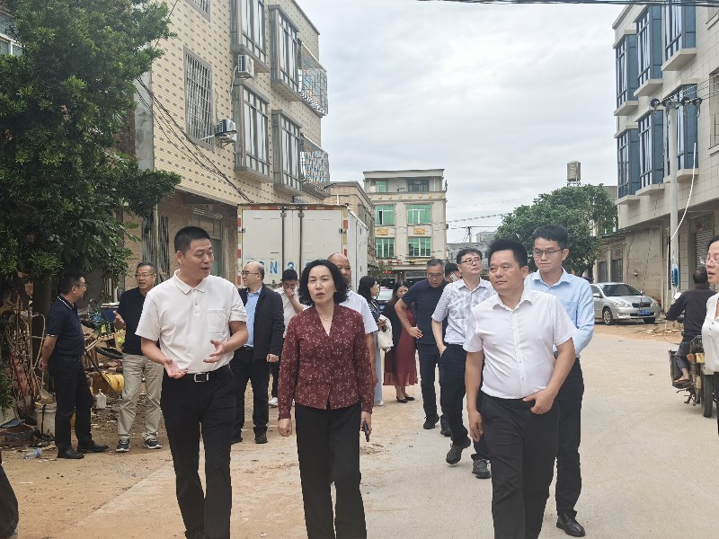 圖2：越秀區(qū)政協(xié)郭環(huán)主席深入樂(lè)民村開(kāi)展實(shí)地調(diào)研.jpg