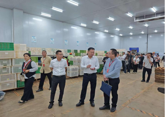 洋青鎮(zhèn)人大:靈山縣三隆鎮(zhèn)人大到洋青鎮(zhèn)考察