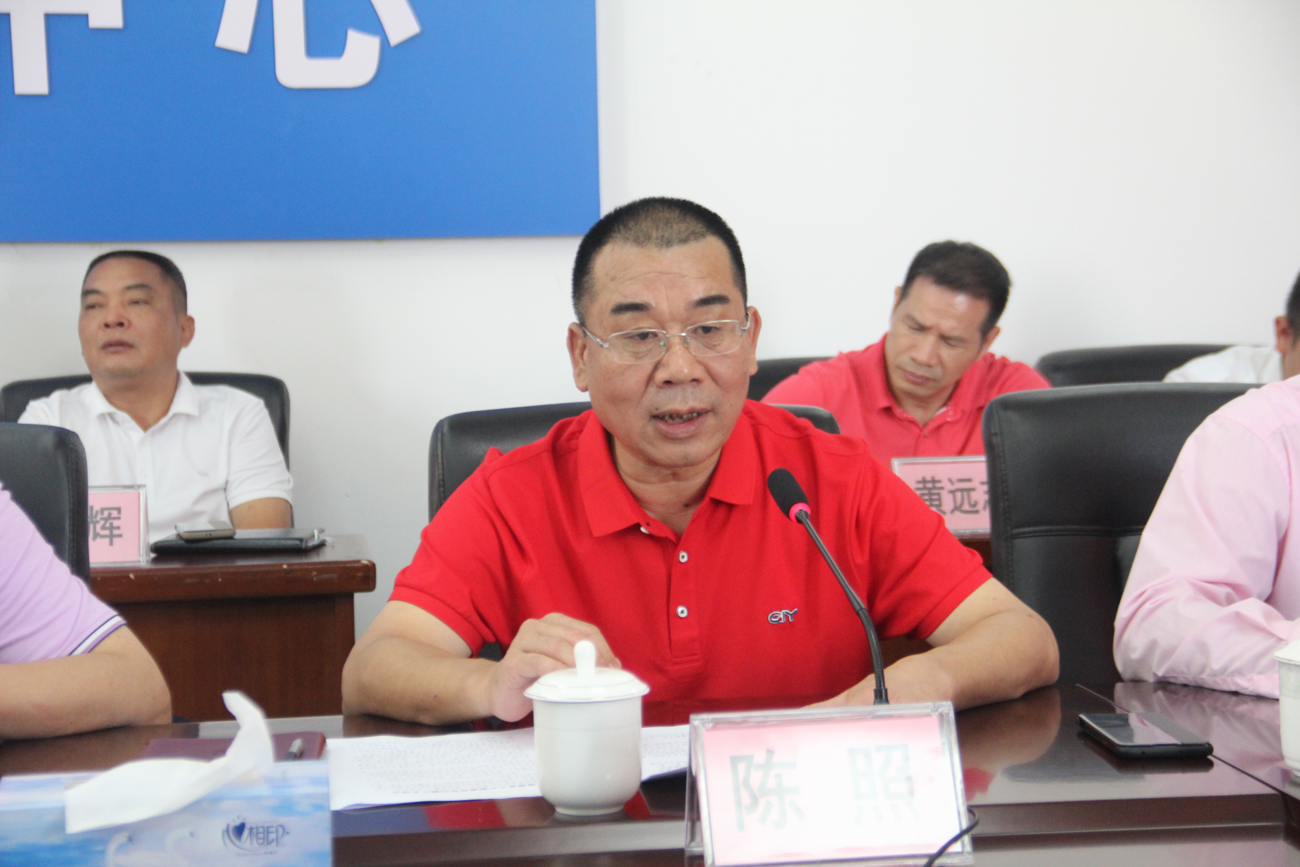 陳照常委在脫貧攻堅(jiān)座談會(huì)上發(fā)言.JPG